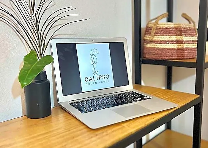 Calipso Ocean Lodge- Avellana