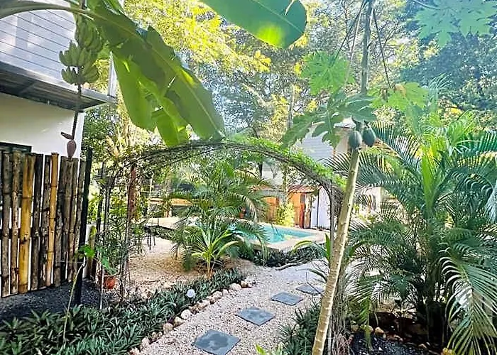 Hotel Calipso Ocean Lodge- Avellana 4*
