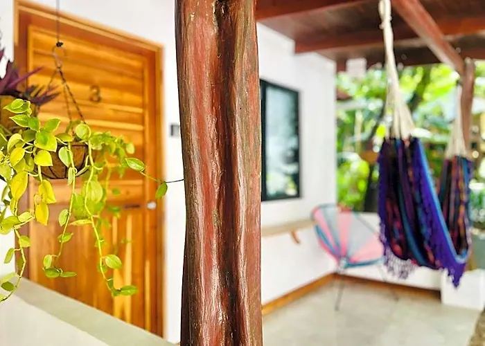 Hotel Calipso Ocean Lodge- Avellana 4*